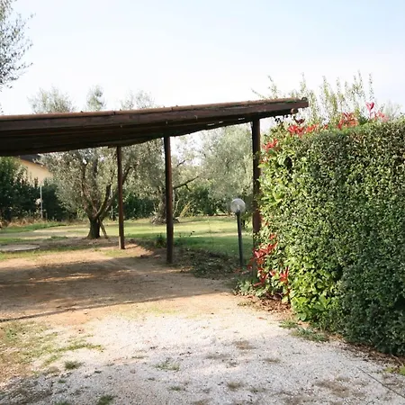 Carlotta Casetta Indipendente Non Distante Dal Mare